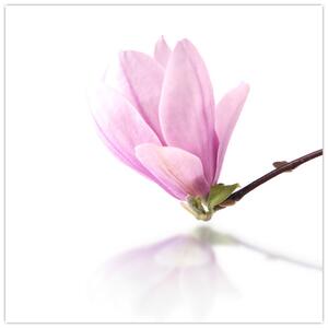 Kvet - obraz (Obraz 30x30cm)