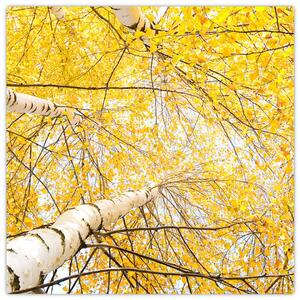 Jesenné lístie - moderný obraz (Obraz 30x30cm)