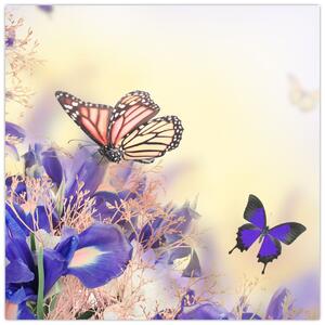 Motýle - obraz (Obraz 30x30cm)