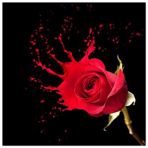 Abstraktný obraz ruža - obraz (Obraz 30x30cm)