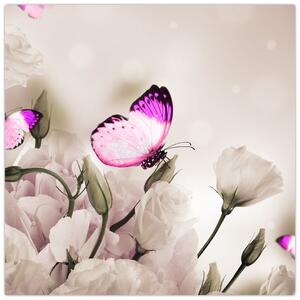 Motýľ na kvetine - obraz (Obraz 30x30cm)