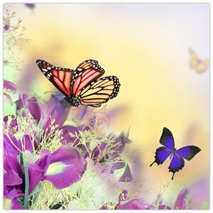 Motýle - obraz (Obraz 30x30cm)