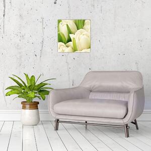 Detail tulipánov - obraz (Obraz 30x30cm)
