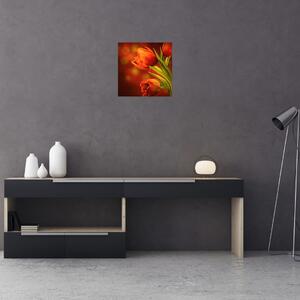 Obraz tulipánov (Obraz 30x30cm)