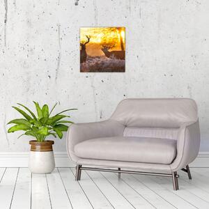 Jelene - obraz (Obraz 30x30cm)