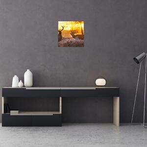 Jelene - obraz (Obraz 30x30cm)