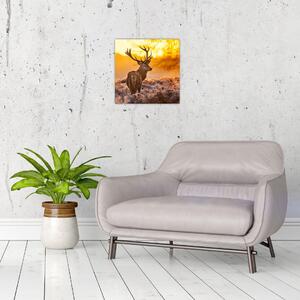Jelen - obraz (Obraz 30x30cm)