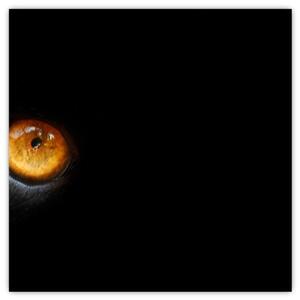 Zvieracie oči - obraz (Obraz 30x30cm)