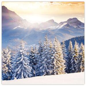 Fotka zimnej krajiny - obraz (Obraz 30x30cm)