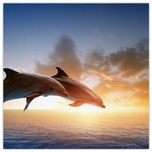 Delfíny - obraz (Obraz 30x30cm)