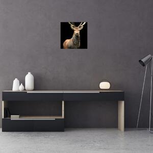 Jelen - obraz (Obraz 30x30cm)