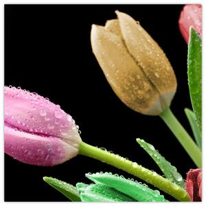Tulipány - obraz (Obraz 30x30cm)