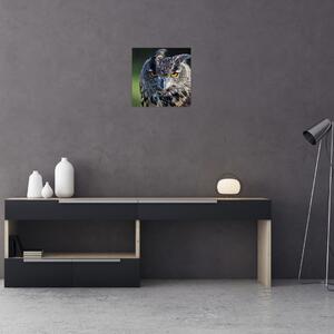 Sova - obraz (Obraz 30x30cm)