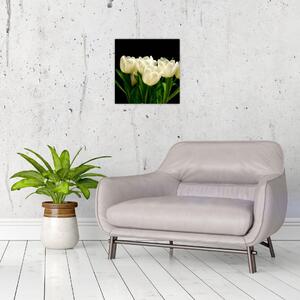 Biele tulipány - obraz (Obraz 30x30cm)