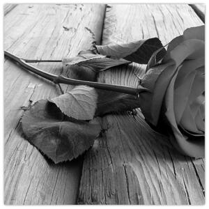Obraz čiernobiele ruže (Obraz 30x30cm)