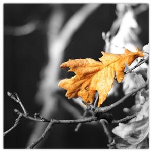 Obraz - prichádzajúce jeseň (Obraz 30x30cm)