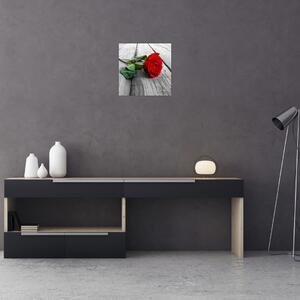Moderný obraz - ruža (Obraz 30x30cm)