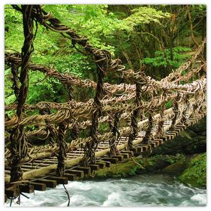 Obraz - most v prírode (Obraz 30x30cm)