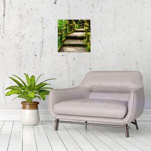 Schody v záhrade - obraz (Obraz 30x30cm)