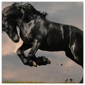 Čierny kôň, obraz (Obraz 30x30cm)