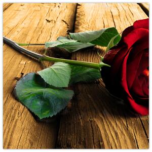 Ležiaci ruža - obraz (Obraz 30x30cm)