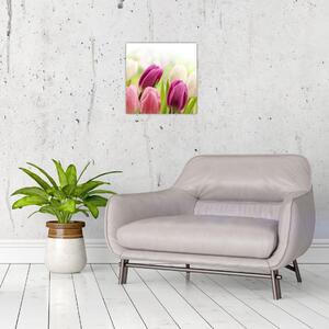 Tulipány, maľby (Obraz 30x30cm)
