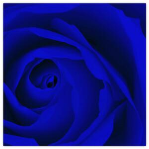 Detail modré ruže - obraz (Obraz 30x30cm)