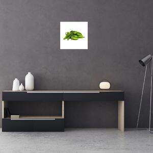Zelené papričky - obraz (Obraz 30x30cm)