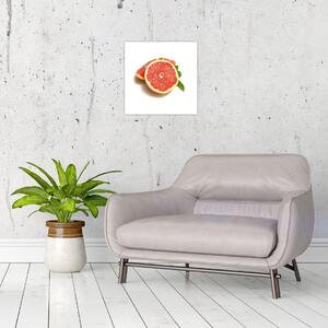 Grapefruit - obraz (Obraz 30x30cm)