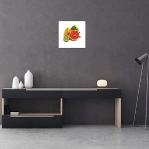 Citrusové plody - obraz (Obraz 30x30cm)