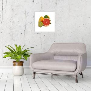 Citrusové plody - obraz (Obraz 30x30cm)