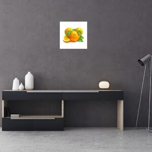 Pomaranče, obraz (Obraz 30x30cm)