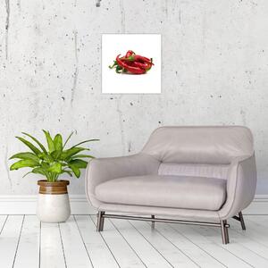 Chilli papričky, obrazy (Obraz 30x30cm)