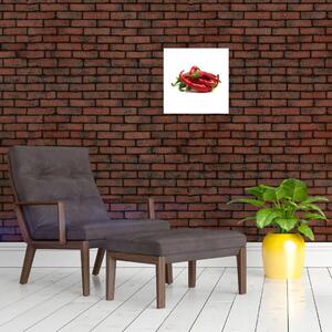 Chilli papričky, obrazy (Obraz 30x30cm)