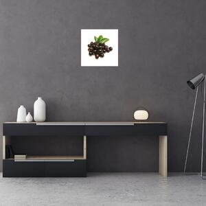 Olivy, obraz (Obraz 30x30cm)