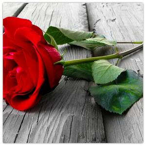 Obraz ruže (Obraz 30x30cm)