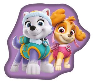 Fleecový detský vankúšik Paw Patrol – Jerry Fabrics