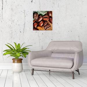 Kávové zrná, obrazy (Obraz 30x30cm)