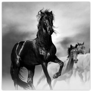 Čiernobiely obraz koňov (Obraz 30x30cm)