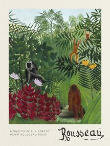 Umelecká tlač Monkeys in the Forest - Henri Rousseau, (30 x 40 cm)