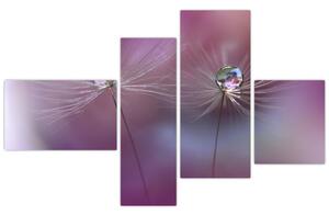 Obraz - kvet s kvapkami vody (Obraz 110x70cm)