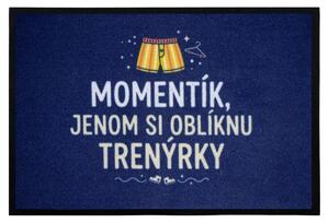 Mercury Flooring, Trenková rohožka 40x60 cm - na von aj na doma, 40x60, modrá
