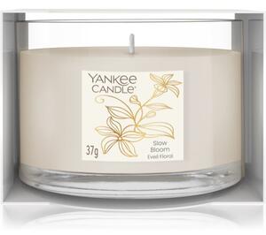 Yankee Candle Little Luxuries Slow Bloom votívna sviečka 37 g