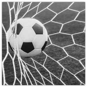 Futbalová lopta v sieti - obraz (Obraz 30x30cm)