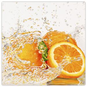 Pomaranče - obraz (Obraz 30x30cm)