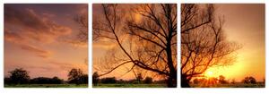 Západ slnka, obrazy (Obraz 90x30cm)
