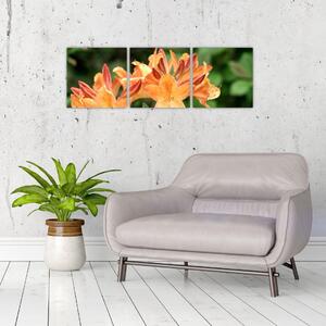 Oranžové kvety (Obraz 90x30cm)