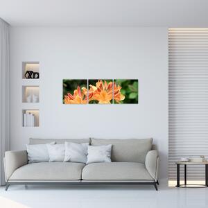 Oranžové kvety (Obraz 90x30cm)