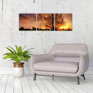 Západ slnka, obrazy (Obraz 90x30cm)