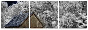 Chaloupka v zime, obrazy (Obraz 90x30cm)